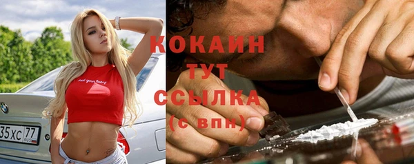 спиды Няндома