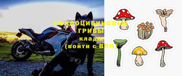 ГАЛЛЮЦИНОГЕННЫЕ ГРИБЫ Абдулино