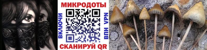 Галлюциногенные грибы мухоморы  mega сайт  Хабаровск 