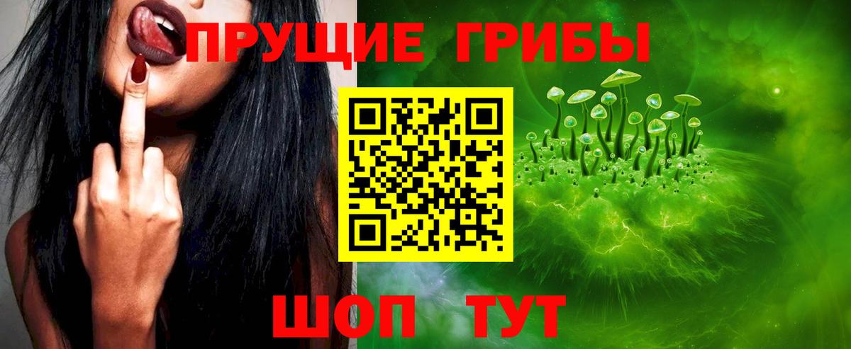 Хабаровск  Псилоцибиновые грибы MAGIC MUSHROOMS  Вход с VPN 