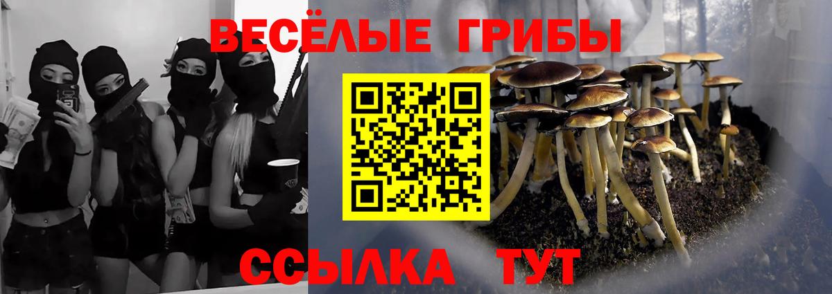 Псилоцибиновые грибы ЛСД Хабаровск