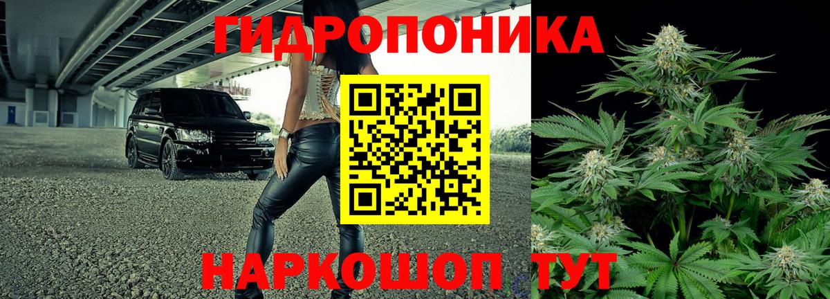Конопля сатива  Марихуана Bruce Banner  Хабаровск  Каннабис сатива  Вход с VPN 